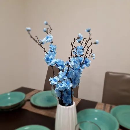 Abstract By The Sea * Λάρνακα